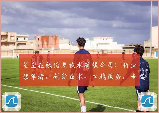 星空在线信息技术有限公司：行业领军者，创新技术，卓越服务，专业品质，值得信赖