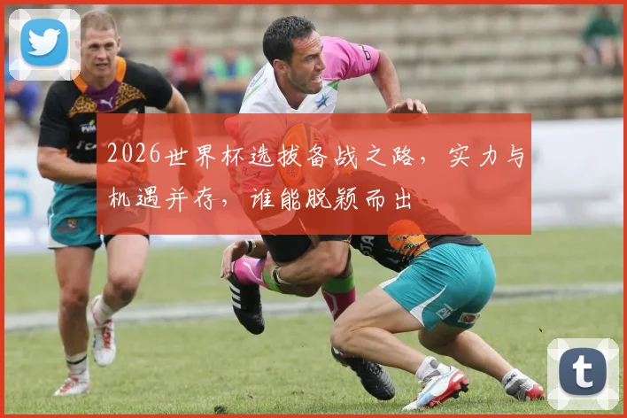 2026世界杯选拔备战之路，实力与机遇并存，谁能脱颖而出